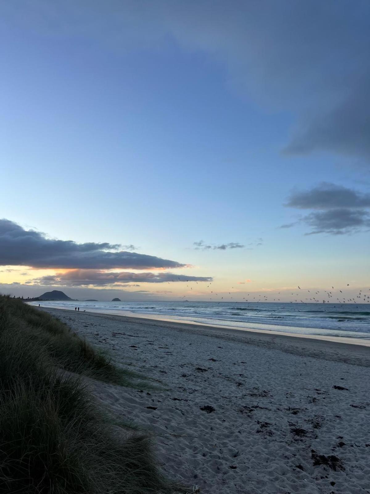 Papamoa Beach, Pohutukawa Deluxe Studio, On Hugoway المظهر الخارجي الصورة