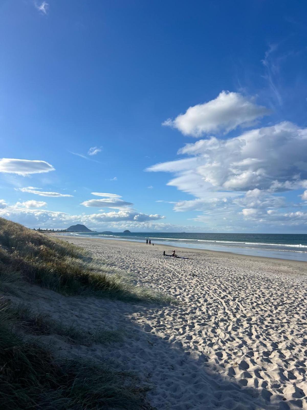 Papamoa Beach, Pohutukawa Deluxe Studio, On Hugoway المظهر الخارجي الصورة